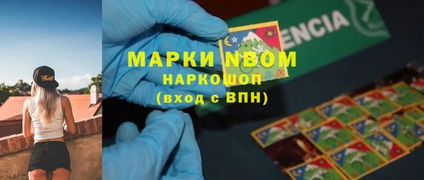 бошки Бронницы