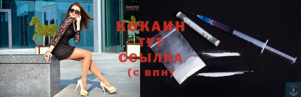 молекула духа Горнозаводск