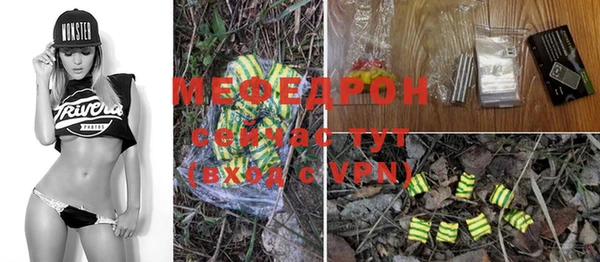 индика Ветлуга