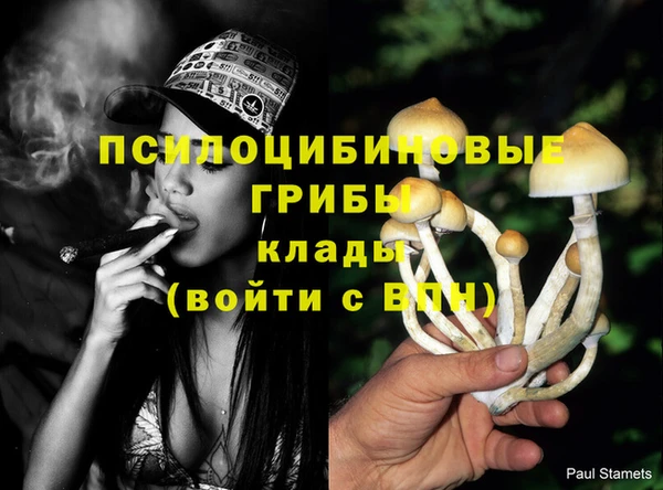 трава Видное