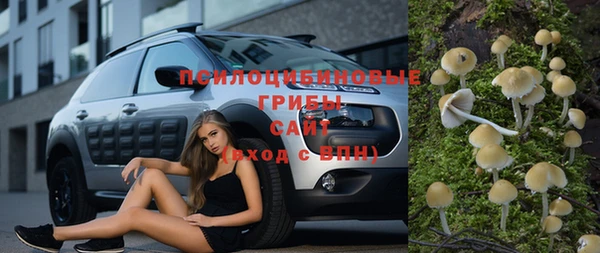 бошки Весьегонск