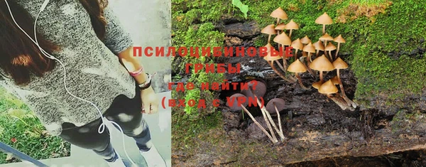 ALPHA-PVP Майский