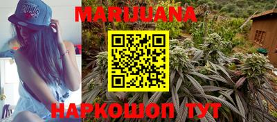 индика Гусиноозёрск