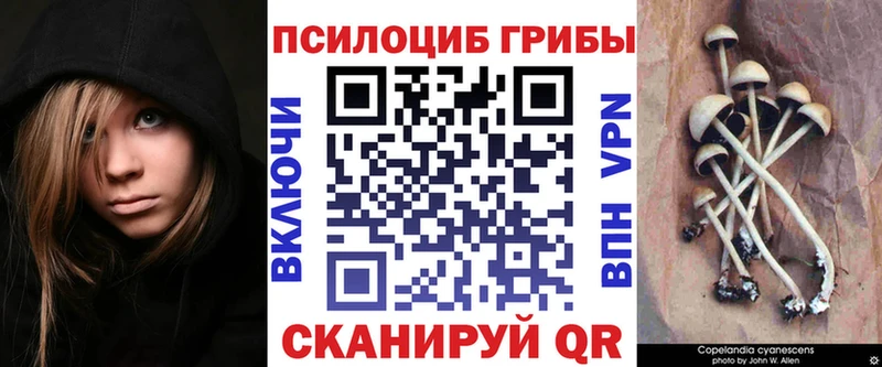 Псилоцибиновые грибы Cubensis  Добрянка 