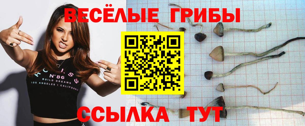 Галлюциногенные грибы Magic Shrooms Добрянка