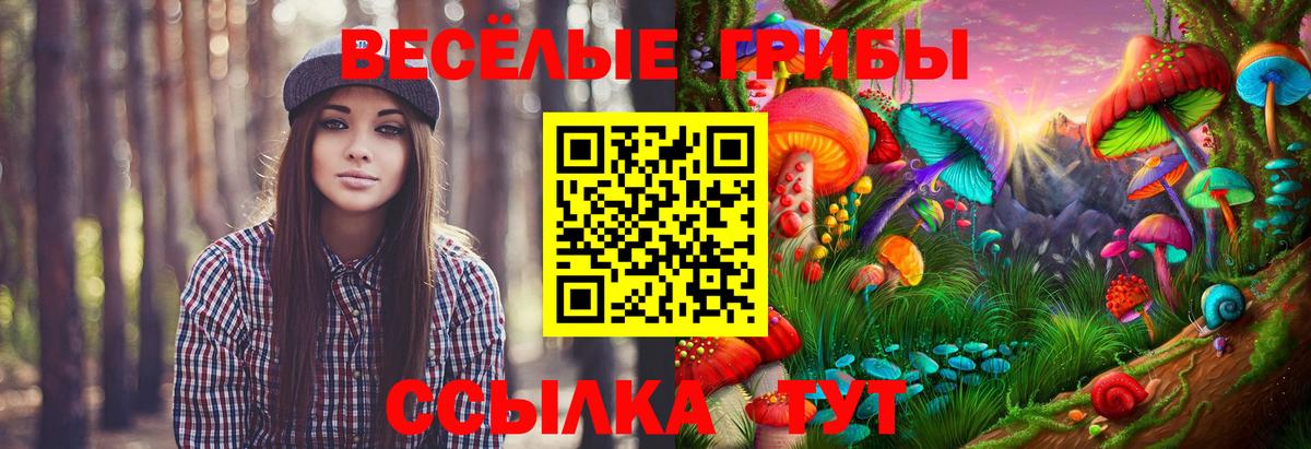 Псилоцибиновые грибы мухоморы  Вход с VPN  Добрянка  Псилоцибиновые грибы Psilocybe 