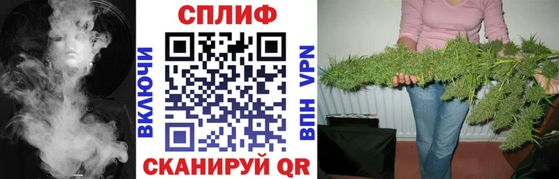 Бошки Шишки сатива  Добрянка 